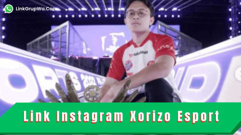 Link Instagram Xorizo Esport