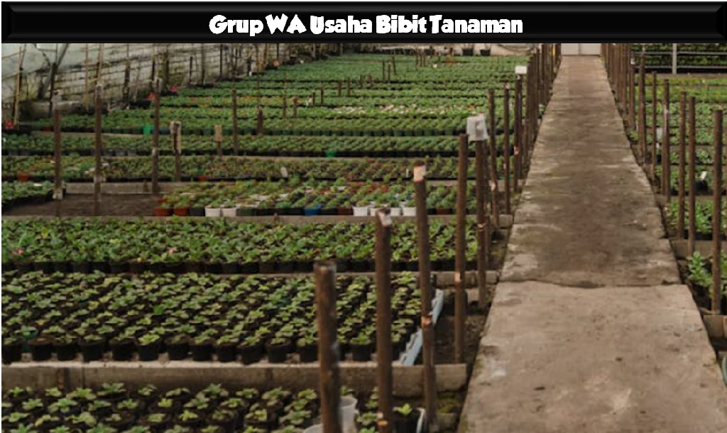 Grup WA Usaha Bibit Tanaman