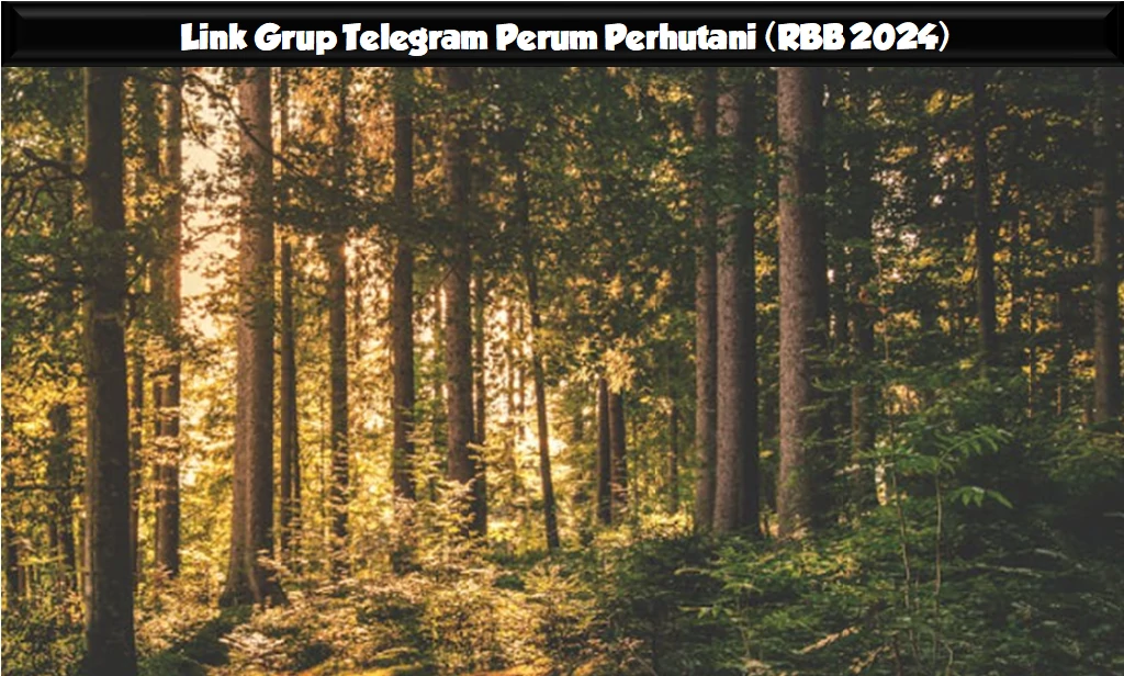 Link Grup Telegram Perum Perhutani (RBB 2024)