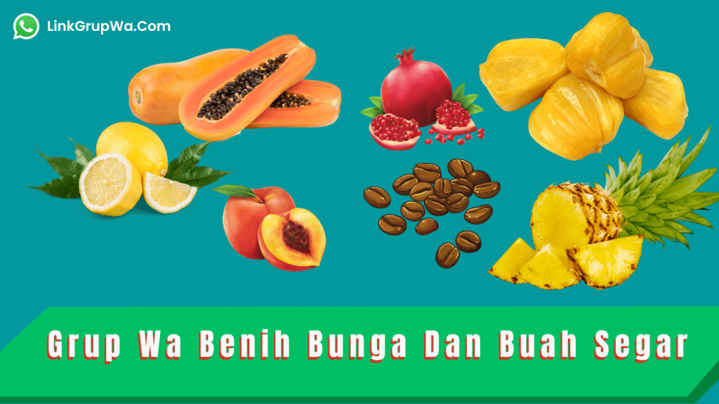 Grup Wa Benih Bunga Dan Buah Segar