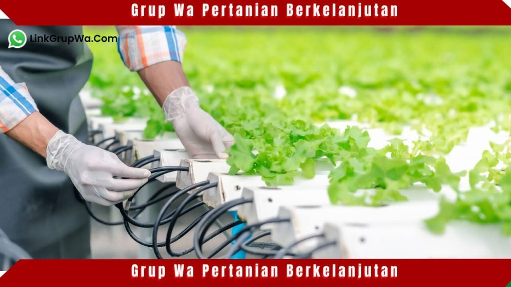 Grup Wa Pertanian Berkelanjutan