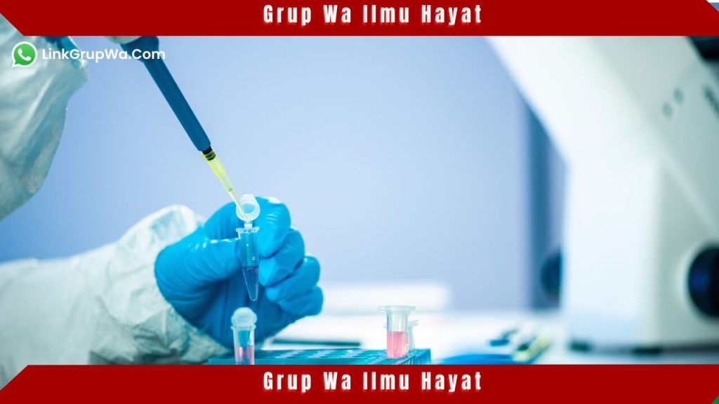 Grup Wa Ilmu Hayat