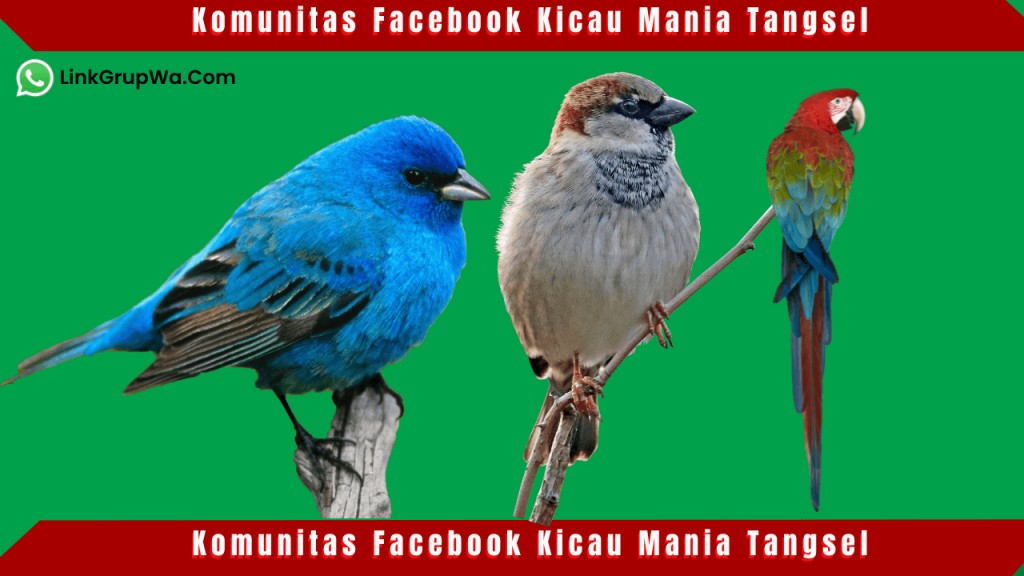 Komunitas Facebook Kicau Mania Tangsel