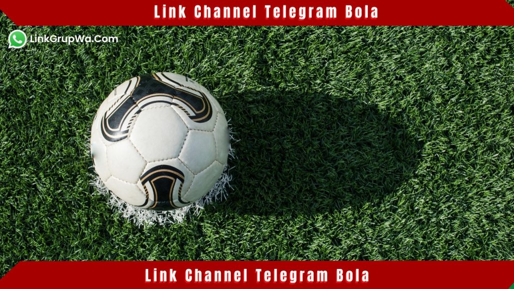 Link Channel Telegram Bola