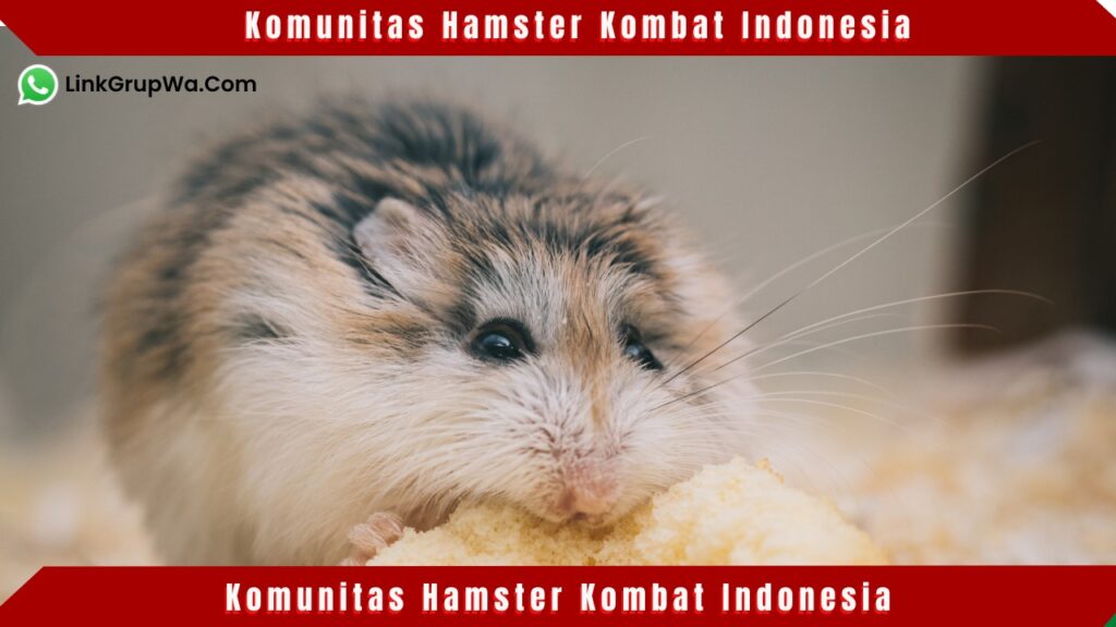 Komunitas Hamster Kombat Indonesia