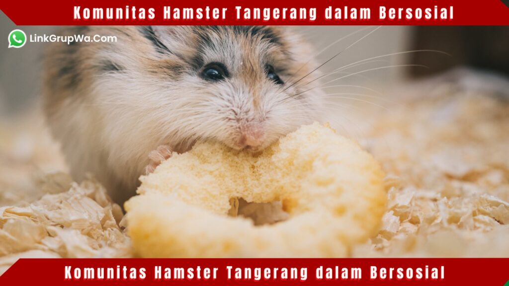 Komunitas Hamster Tangerang dalam Bersosial