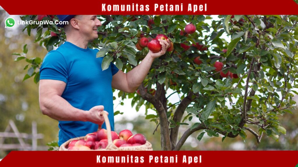 Komunitas Petani Apel