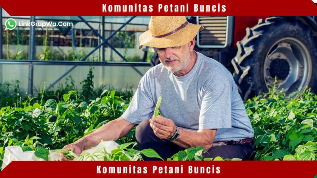 Komunitas Petani Buncis