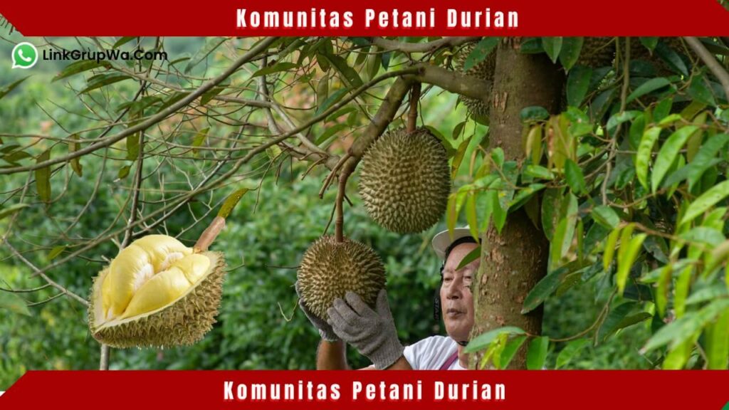 Komunitas Petani Durian