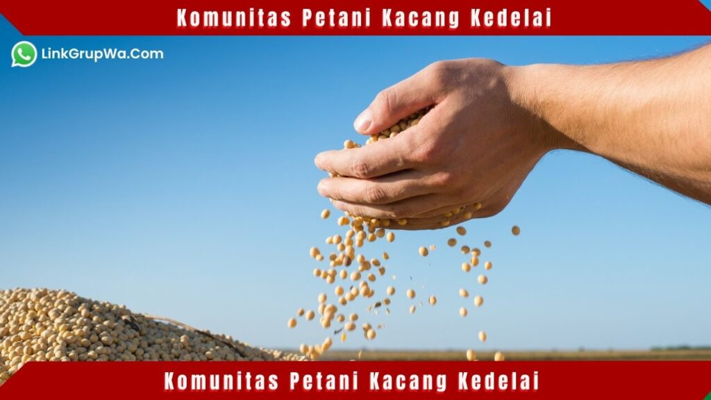 Komunitas Petani Kacang Kedelai