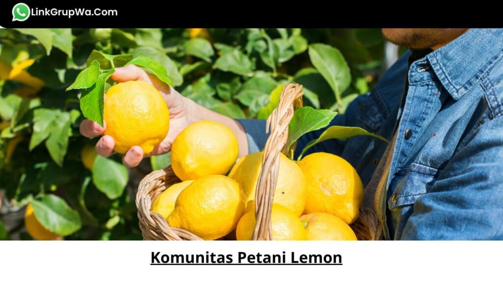 Komunitas Petani Lemon