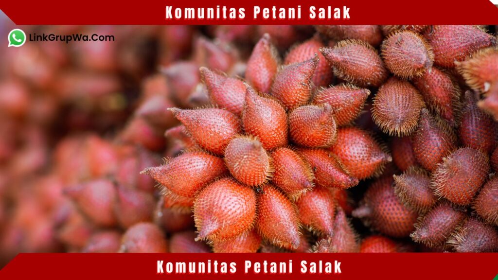 Komunitas Petani Salak