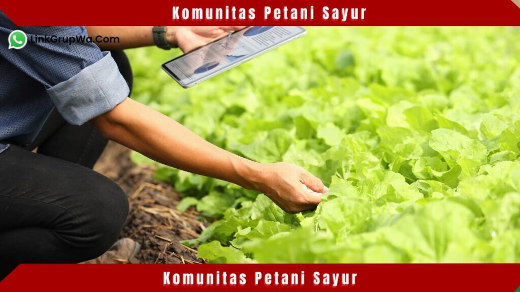 Komunitas Petani Sayur