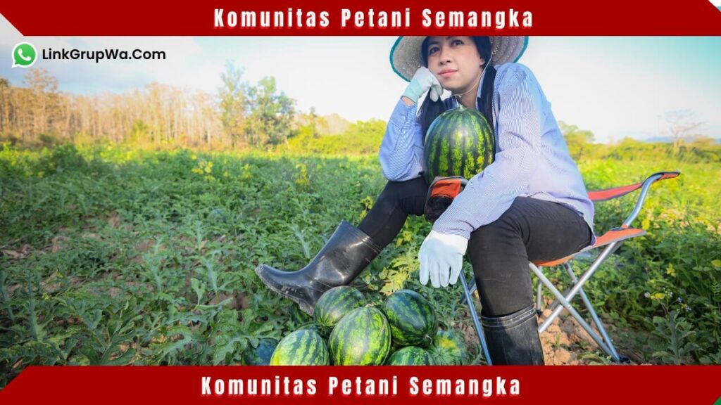 Komunitas Petani Semangka