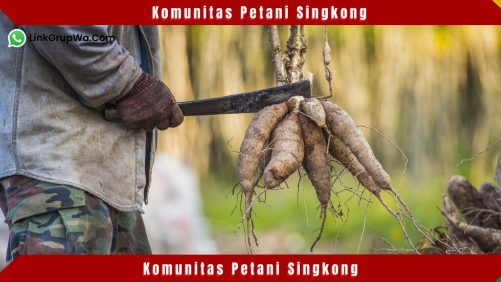 Komunitas Petani Singkong