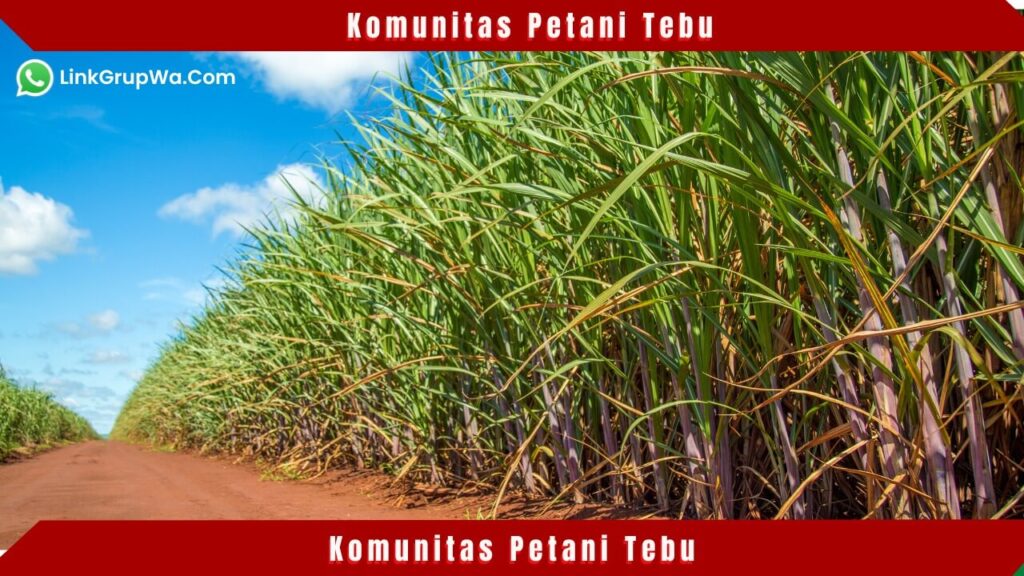 Komunitas Petani Tebu
