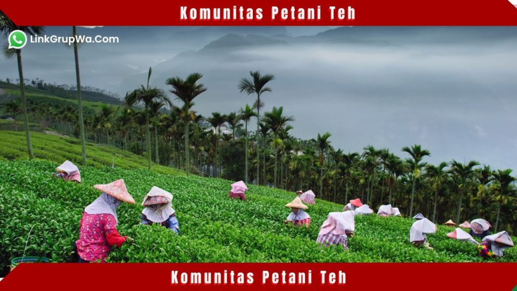 Komunitas Petani Teh