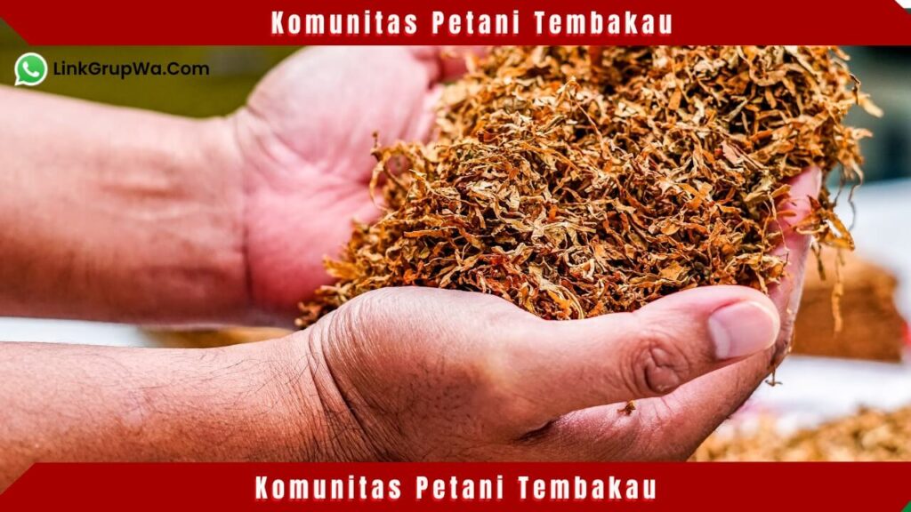 Komunitas Petani Tembakau
