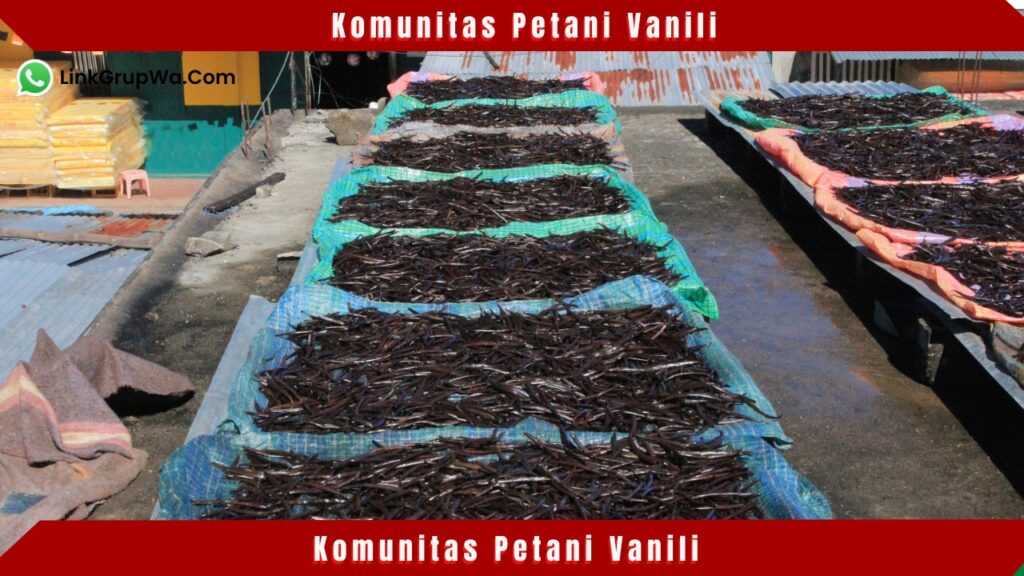 Komunitas Petani Vanili