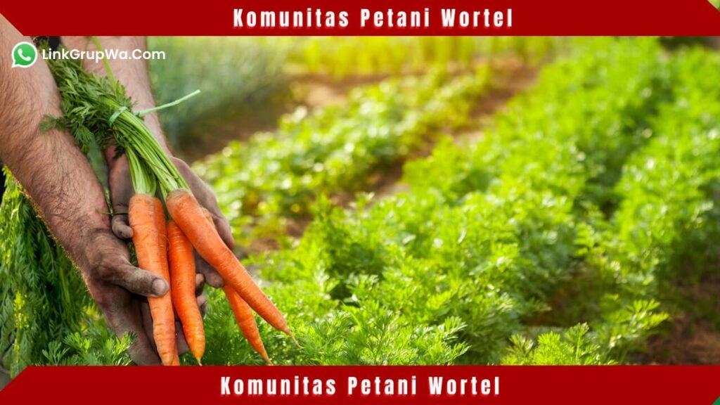 Komunitas Petani Wortel