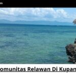 Komunitas Relawan Di Kupang